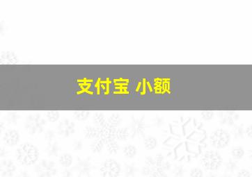 支付宝 小额